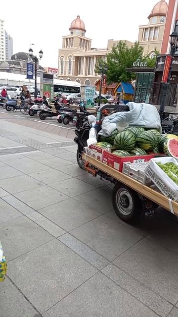 китай.маньчжурия!