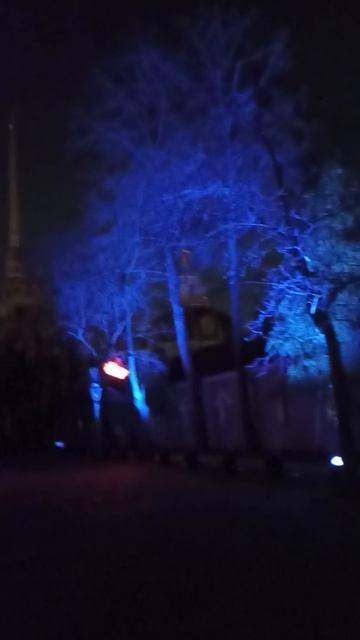 За Петровскими воротами подсветка деревьев классно меняла цвет