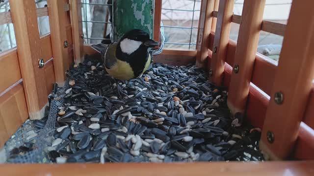 Доброе утро Всем,хорошего дня.🐦⬛🐦⬛🐦⬛доольны