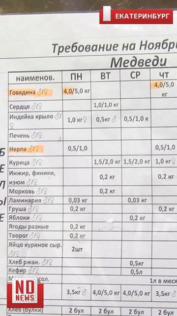Меню для медведей во время зажировки в Екатеринбургском зоопарке