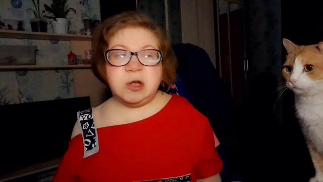 18.11.25г/суръёзный кот/Муромову 75/загрузка с третьего раза 😡