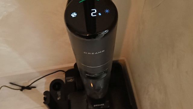 самоочистка