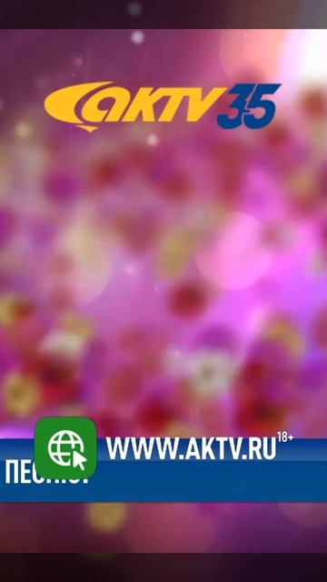 АКТВ Вести Shorts 17.11_0003