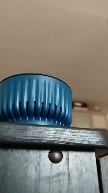 AY YOLA «Черная луна» к фильму «Август