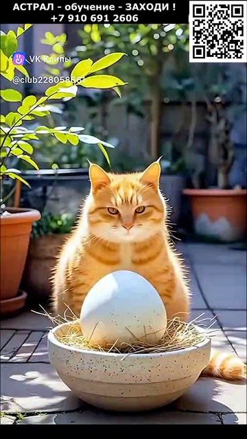 Котики. Рыжик и динозаврик. Позитив. Юмор. Нейросеть. ИИ #котики #рыжик #динозавр #настроение #юмор