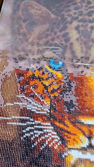 алмазная мозаика Леопард