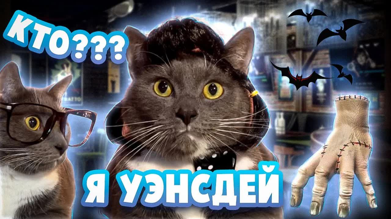 ЕСЛИ БЫ КОТИКИ ХОДИЛИ В МАГАЗИН - УЭНСДЕЙ