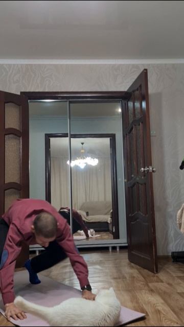 Берпи. День N+++