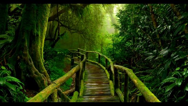 Красивая Музыка для сна, расслабления, снятия стресса и медитации дзен релакс