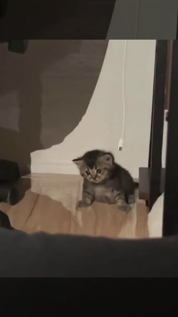 Состояние по утрам только такое: