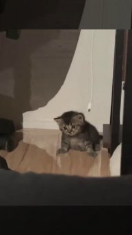 Состояние по утрам только такое: