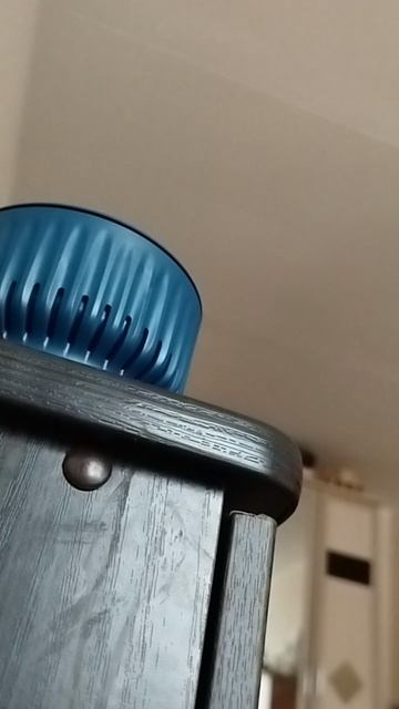 AY YOLA «Черная луна» к фильму «Август