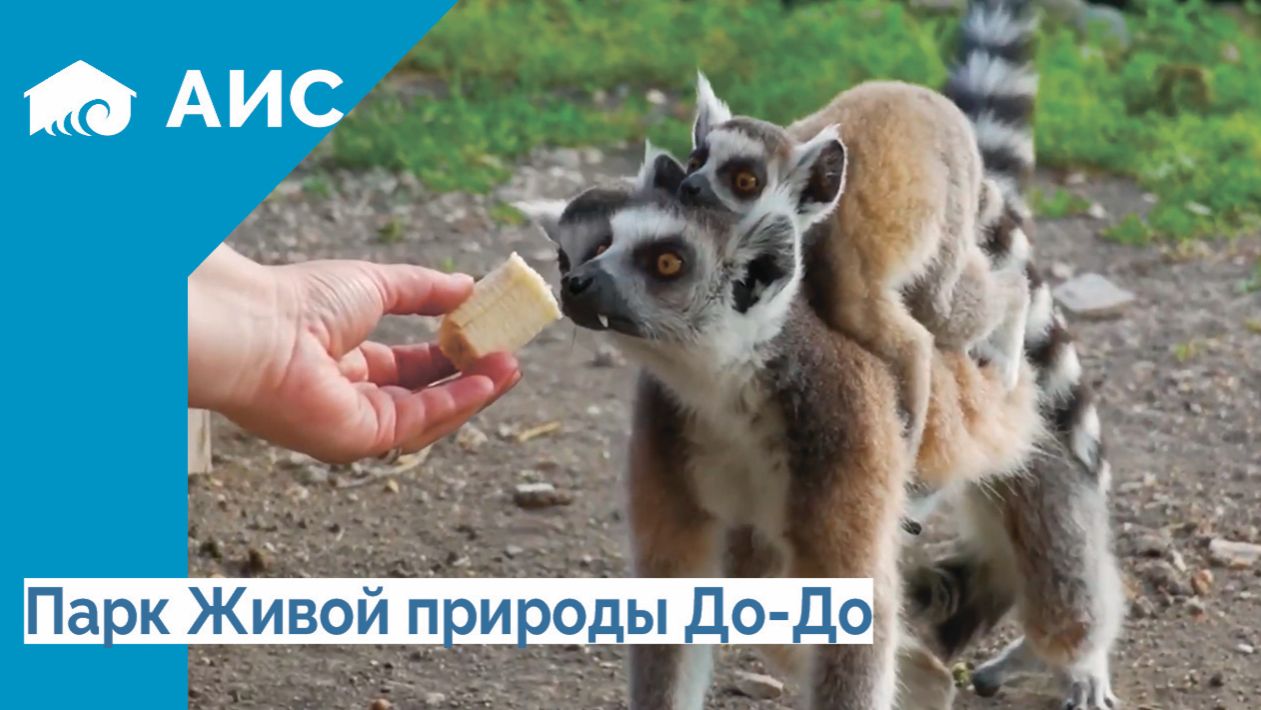 Парк Живой природы До-До