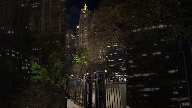 🆕🌟 Я в Нью-Йорке, День 1