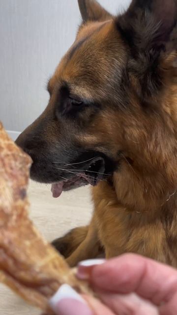 И уж точно не для того чтобы собирать лайки.
@marsel_mlsk