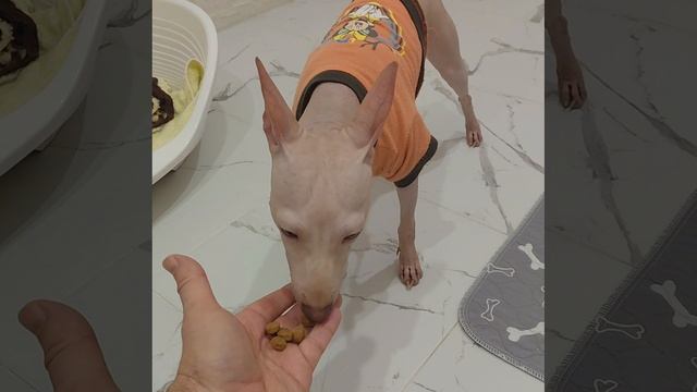 Вкусные орехи!