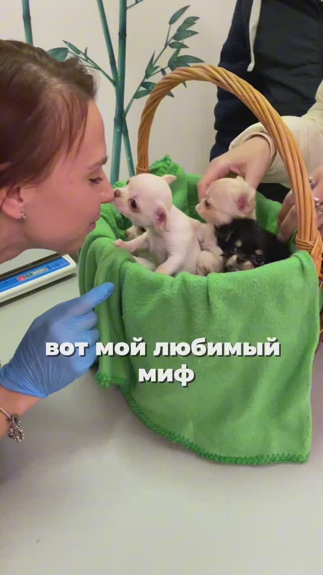 топ 5 мифов о вакцинации 💉