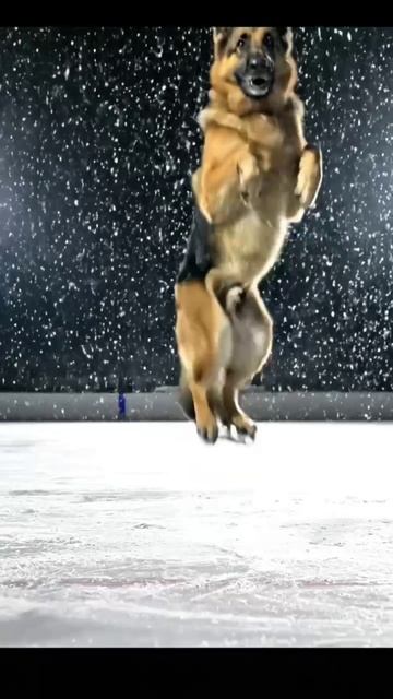 Всем шикарного настроения!