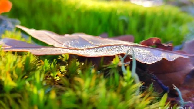 св.источник Ай-Йори