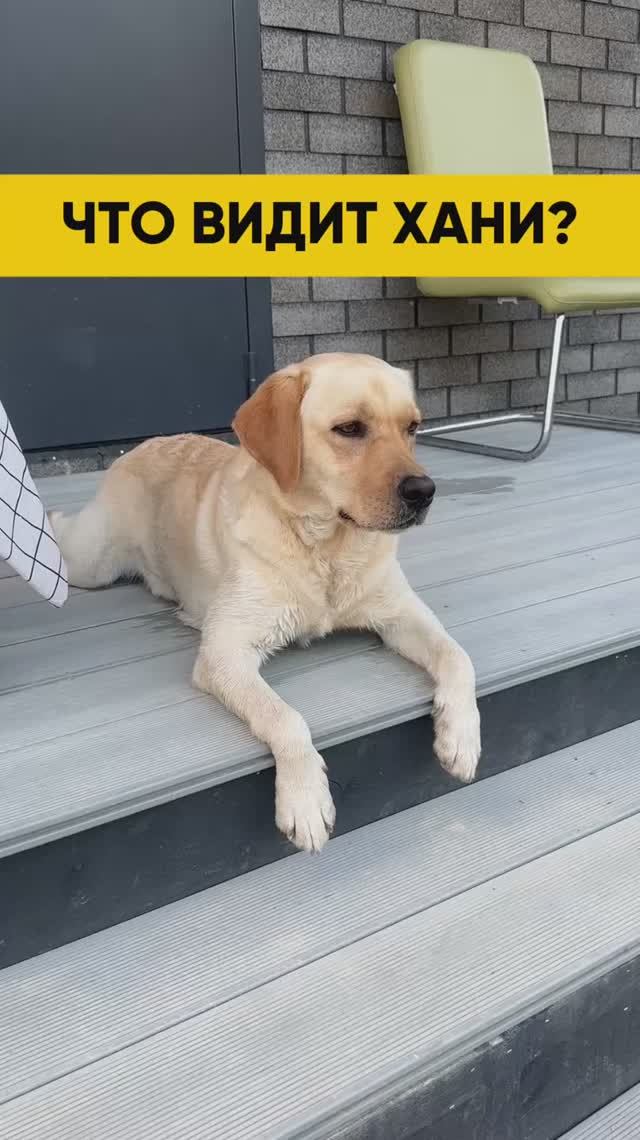 Подробнее тут