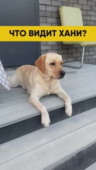 Подробнее тут