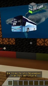 Животные-рекордсмены | Лекция в Minecraft #minecraft #майнкрафт #minecraftshorts #education #лекции