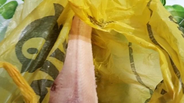 Строганина из форели. Достаём новогодние гирлянды.