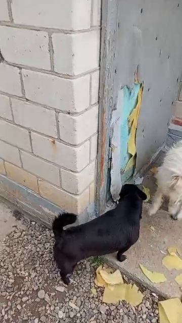 Фиксируем неприятности:без рукоприкладства,конечн,обошлось,но словесный поток ещё долго не иссякнет.