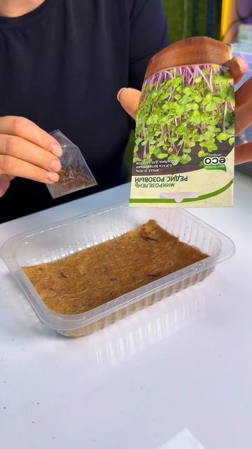 Микрозелень редиса