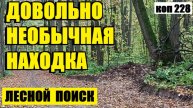 ЧЕГО ТОЛЬКО НЕТ В ЭТОМ ЛЕСУ!коп 228