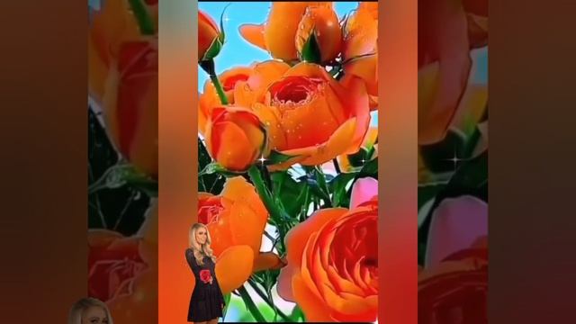 Красивая песня с благодарностью к прожитым годам