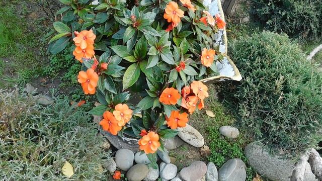 12=11=2025 ПВН (75)