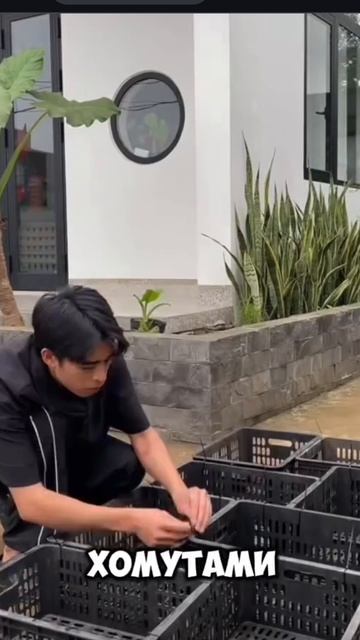 своими руками 🤲