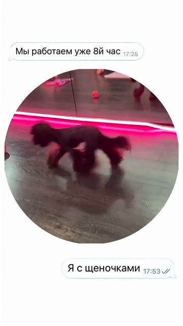 Онлайн-образование, биология, ЕГЭ, ОГЭ, подготовка, репетитор, экзамен, высокий балл, книги