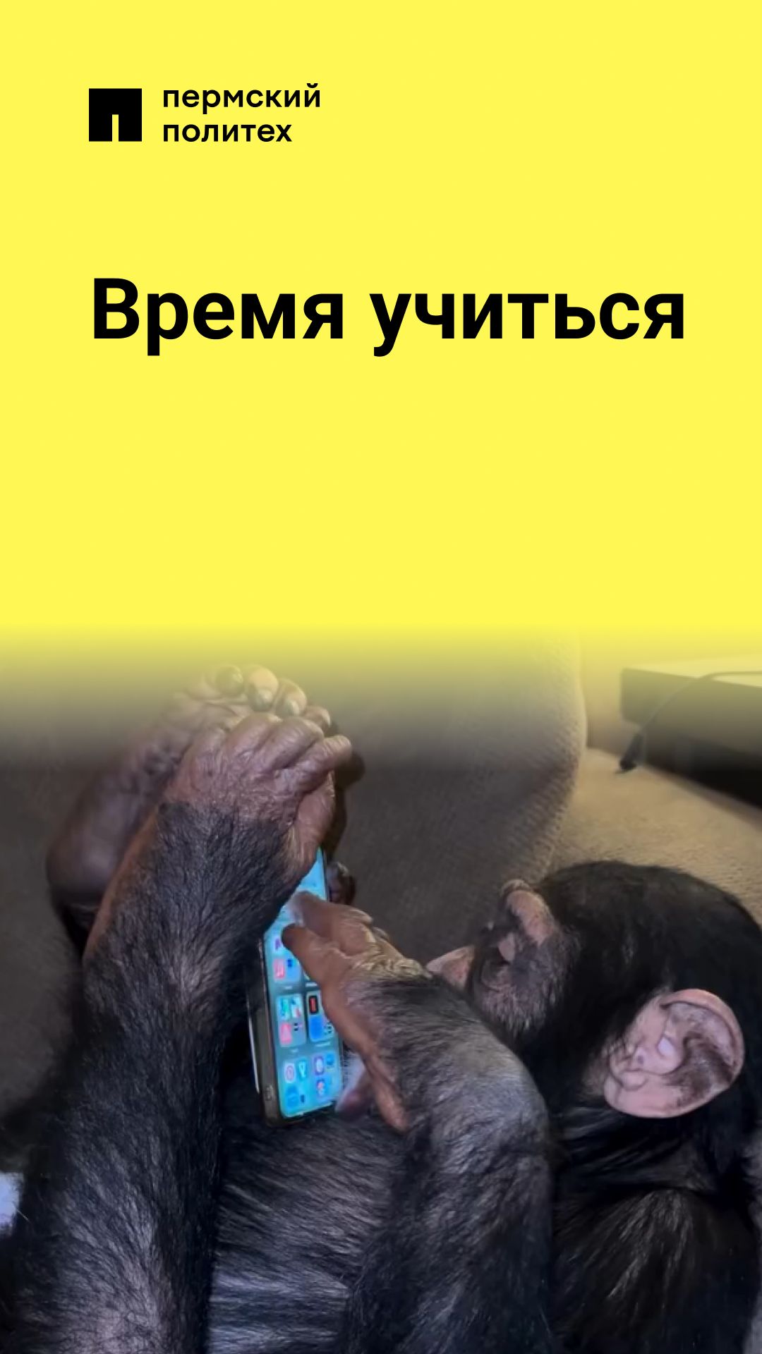 Напоминание самому себе: в следующий раз готовиться заранее