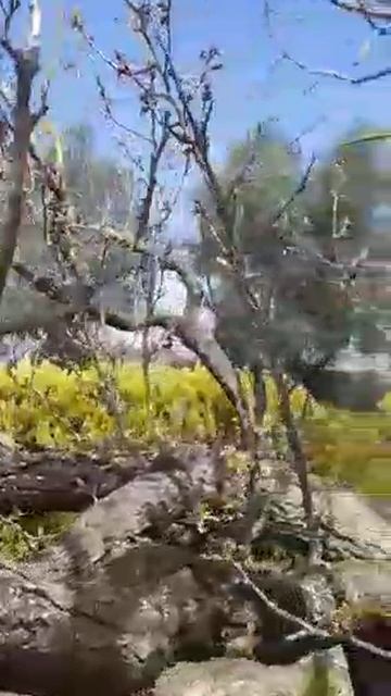 #Trattoria_Montepulciano