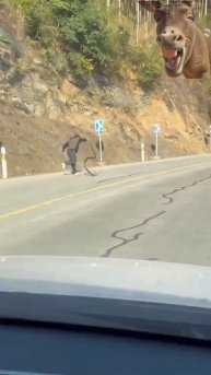 Когда очень хочется кушать