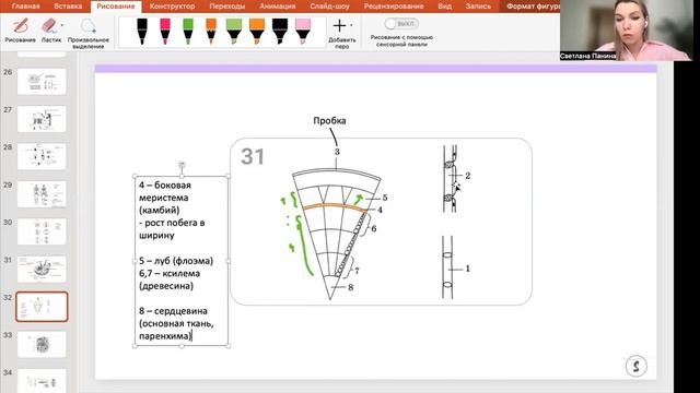 ВСЕ КАРТИНКИ ИЗ ЕГЭ ПО БИОЛОГИИ | РОХЛОВ 2024 | ЧАСТЬ 3