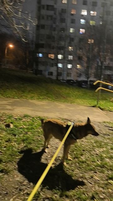 продолжение часть 1