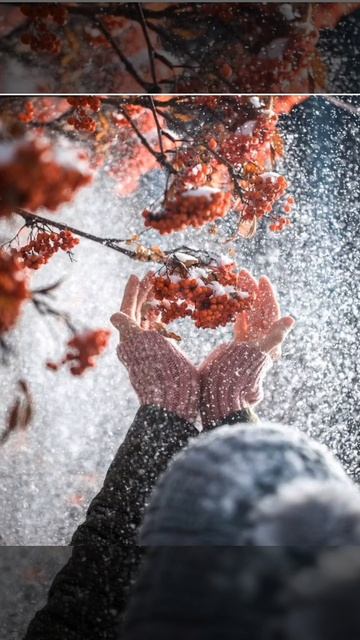 "Я несмело шагнула в ноябрь..."✨