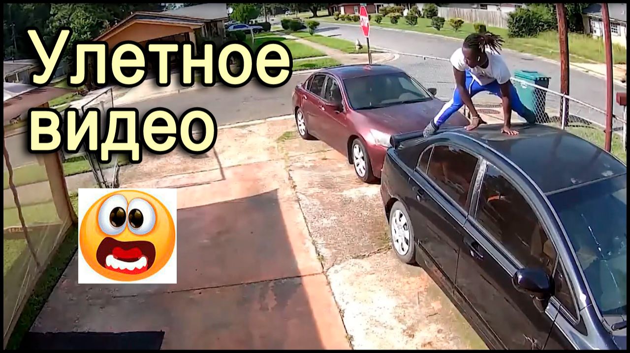 Прикольное видео, смешные видео истории