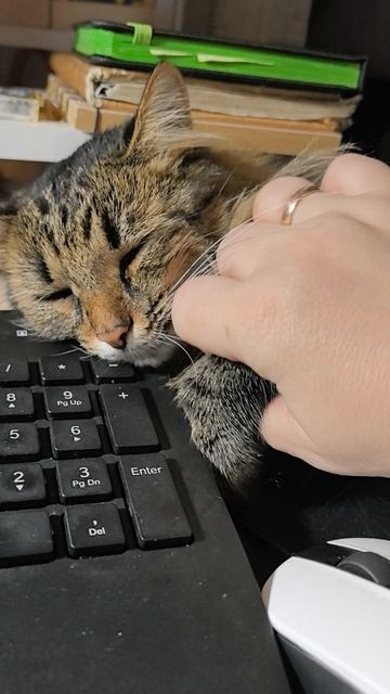 Муся и я на компе