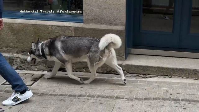 Pontevedra