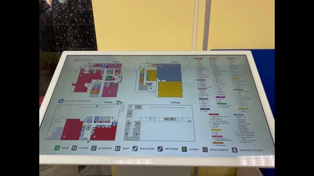 Analysis of an Interactive Kiosk in a Shopping Mall Through the Lens of Saccades, 2025