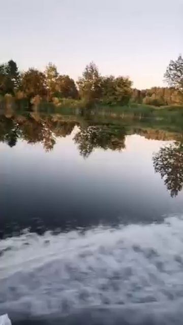 Женский лета🤣❗❗