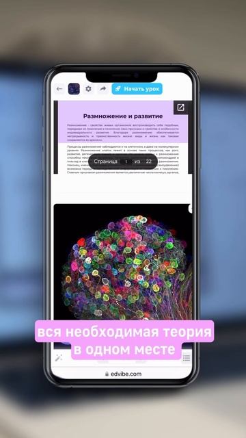 Это только малая часть моих уроков Больше информации в телеграм-канале https://t.me/lanapaninaa