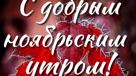 С добрым ,ноябрьским утром!