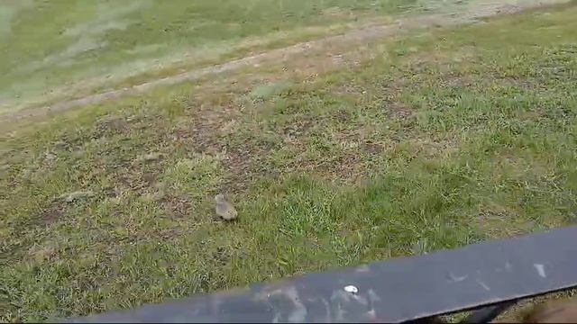 Красноярск.Большое автопутешествие из Москвы до Владивостока с 4 маленькими детьми. Смотровая.