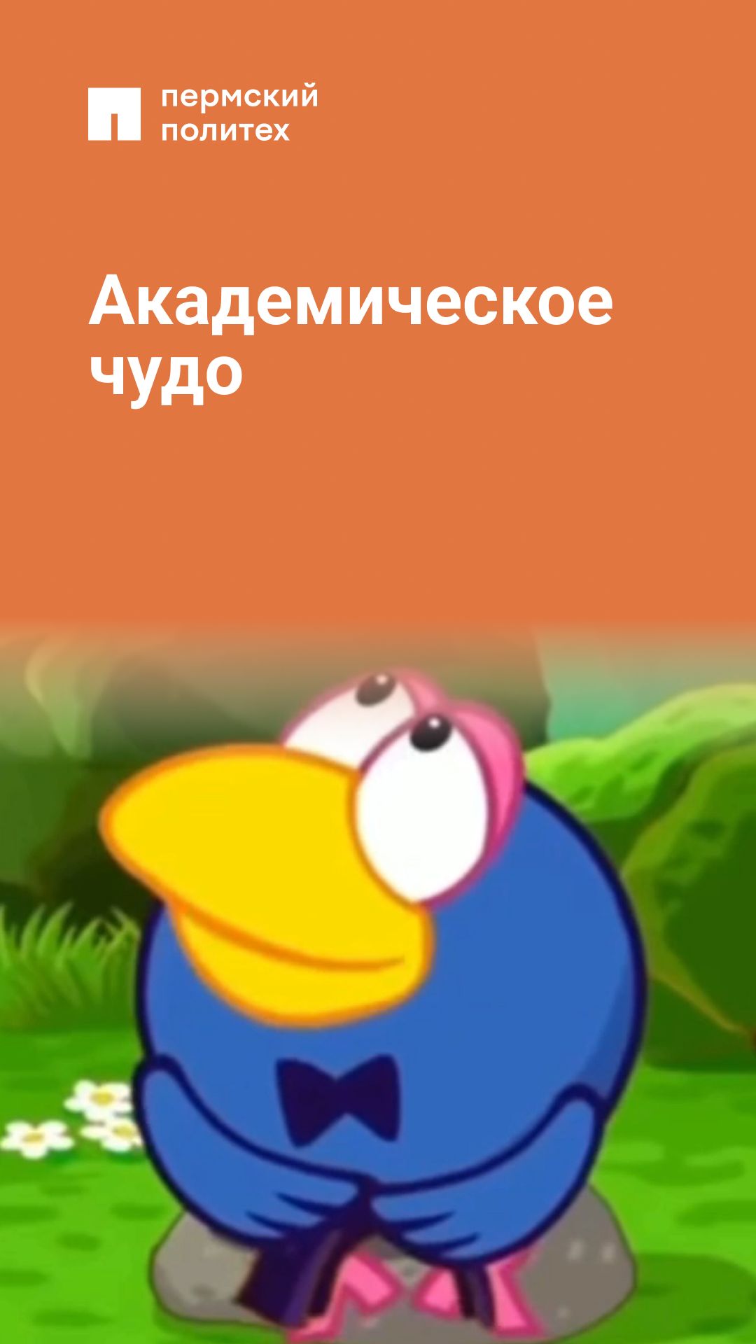 Не знаниями, так упорством