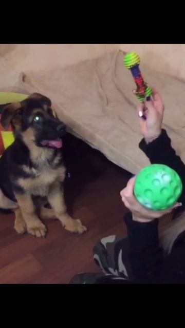 Ловите ещё малыша вам в ленту!